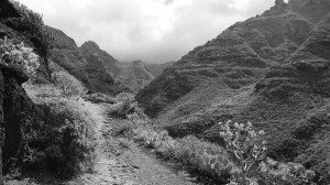 Teneriffa, 2015 Foto: Petra Eichstaedt