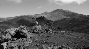 Teneriffa, 2015 Foto: Petra Eichstaedt