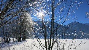 Walchesee, 2017 Foto: Petra Eichstaedt